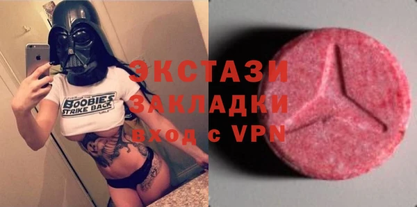 гидра Богданович