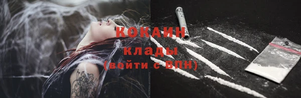 гидра Богданович