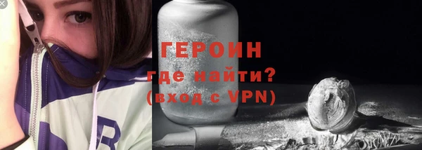 гидра Богданович