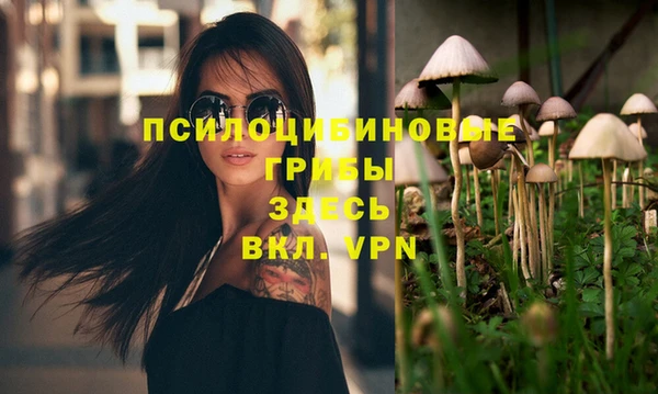 бошки Белокуриха