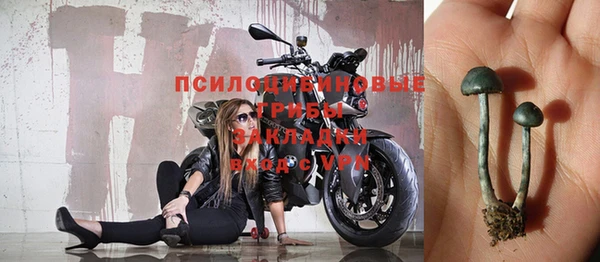 ешки Беломорск