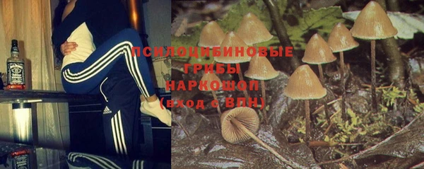 spice Белоозёрский
