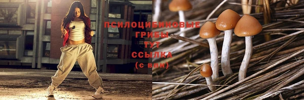 гидра Богданович