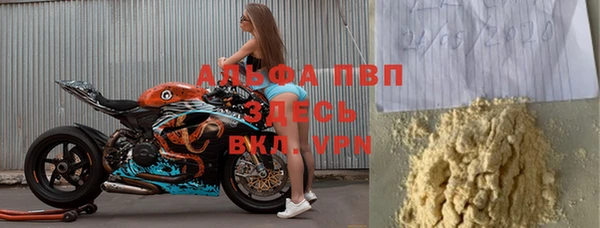 бошки Белокуриха